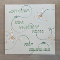 Various Artists – Lost Coast: Some Visionary Music from California, 1980–1992