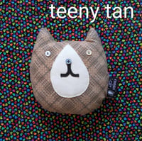 Image 8 of Trash Cat Teeny Tinies