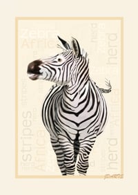 Stripy Zebra