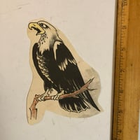 Image 1 of 1970’s Spaulding & Roger’s pork chop eagle hand colored 
