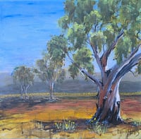 Image 1 of Gum at Mudgee