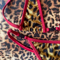 Image 2 of ⋆˙⟡ ⋆.˚ leopard and red various sizes₊⟡ ⋆