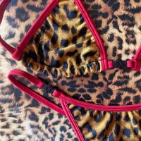 Image 5 of ⋆˙⟡ ⋆.˚ leopard and red various sizes₊⟡ ⋆