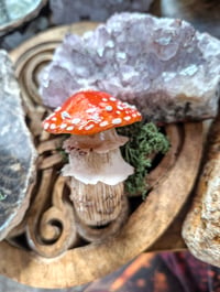 Image 1 of Toadstool stash jar