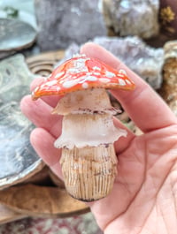 Image 3 of Toadstool stash jar