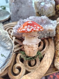 Image 4 of Toadstool stash jar