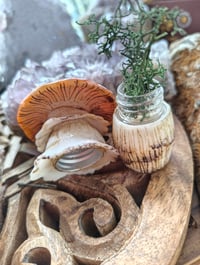 Image 5 of Toadstool stash jar