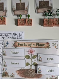 Image 2 of 🌱 Wild Cubs Plant Explorer Learning Pack 🌱