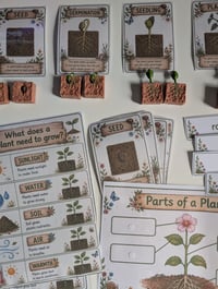 Image 1 of 🌱 Wild Cubs Plant Explorer Learning Pack 🌱
