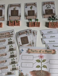 Image 4 of 🌱 Wild Cubs Plant Explorer Learning Pack 🌱