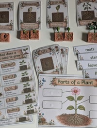 Image 5 of 🌱 Wild Cubs Plant Explorer Learning Pack 🌱