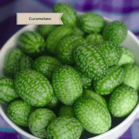 Cucamelon