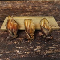 Image 1 of Oreilles d'agneau - sans fourrure -