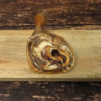 Image 2 of Oreilles d'agneau - sans fourrure -