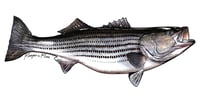 Image 14 of Fish Stickers
