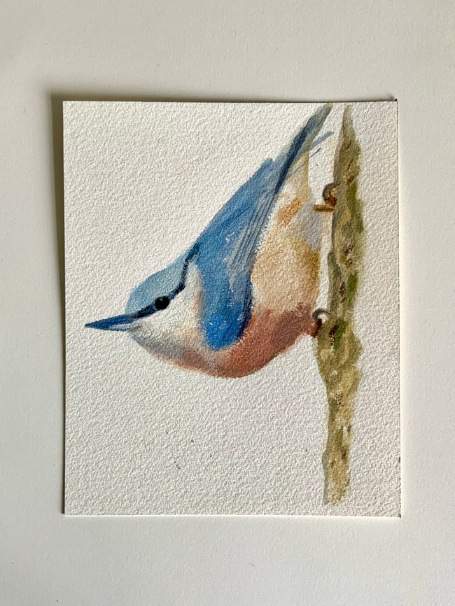 Nuthatch ~ Original painting on paper