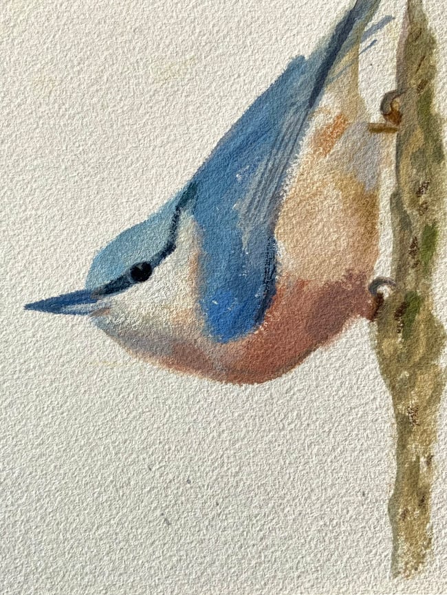 Nuthatch ~ Original painting on paper