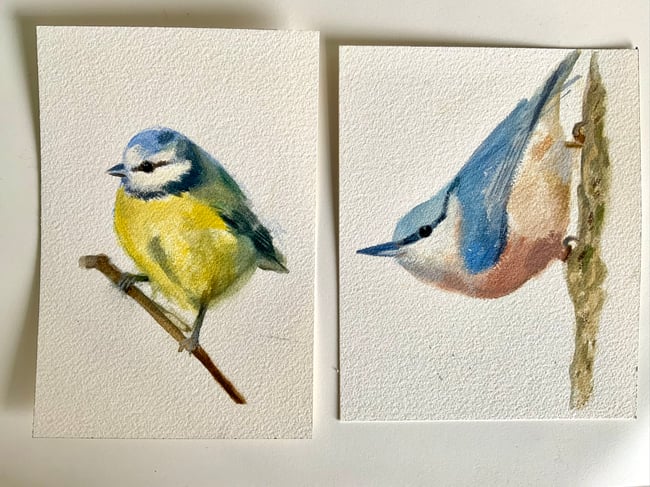 Nuthatch ~ Original painting on paper