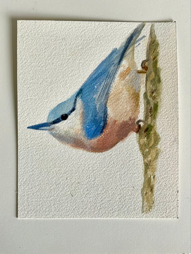 Nuthatch ~ Original painting on paper