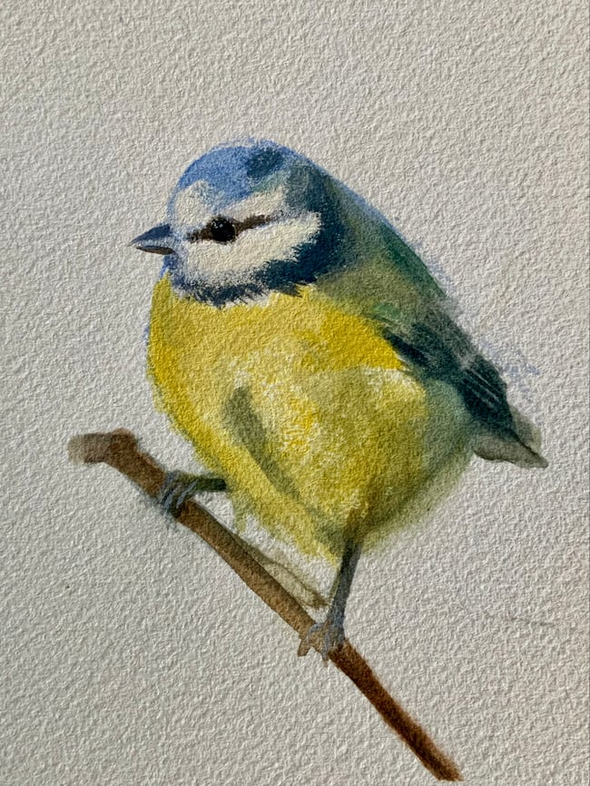 Blue tit ~ Original painting