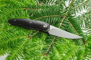 Image of Karnage G10