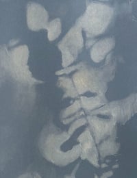 Image 2 of Impression of a Rose