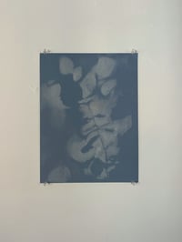 Image 1 of Impression of a Rose
