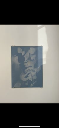 Image 3 of Impression of a Rose