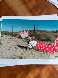 Roadside Texas Flower, 