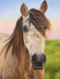 Image 1 of Buckskin Horse - Original Pastel Pencil Horse Portrait