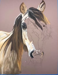 Image 3 of Buckskin Horse - Original Pastel Pencil Horse Portrait