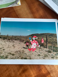 Texas Roadside Flower 2