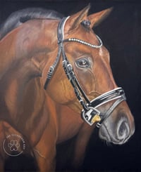 Image 1 of Chestnut Horse - Original Pastel Pencil Horse Portrait