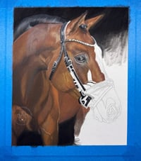 Image 3 of Chestnut Horse - Original Pastel Pencil Horse Portrait