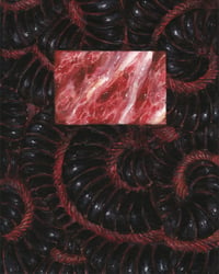 'coilcoilcoil' (8x10, 11x14 inches) limited edition of 30, fine art print