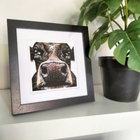 Image 2 of Moo-dy Cow Mini Giclee
