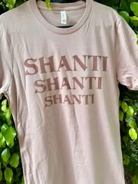 Image 2 of Shanti Shanti Shanti T-Shirt (unisex)
