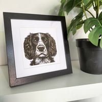 Image 3 of  Springer Spaniel Mini Giclee