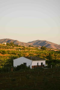 Casa Blanca