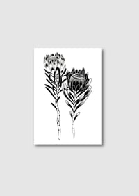 Image 2 of CARTE PROTEAS