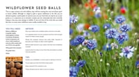 Image 3 of The Hedgerow Apothecary's Field Guide to Wildflowers: Recipes, Remedies and Folklore