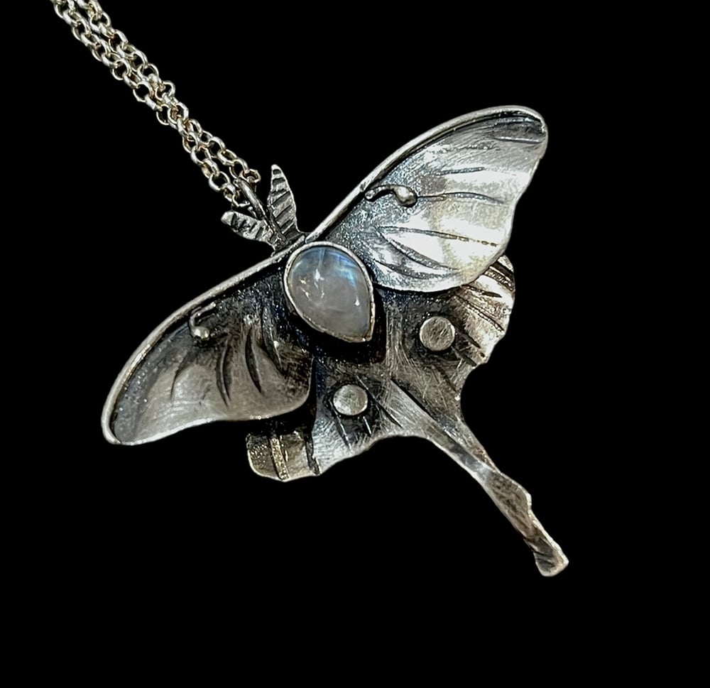 Image of Luna Moth (Large)