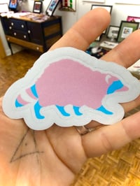 Trans pride Raccoon