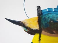 Image 3 of Bee Eater (Vivid Imagination)