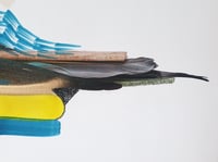 Image 6 of Bee Eater (Vivid Imagination)