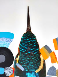 Image 2 of Kingfisher (Peace)