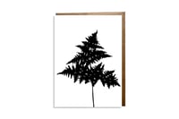 "Bracken Fern" card