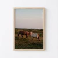Thy Horses
