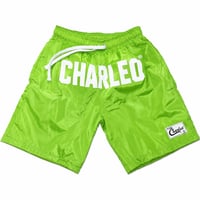 Image 5 of The Charleo Motion Short