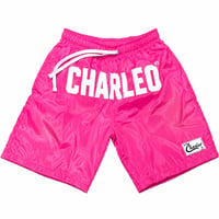 Image 6 of The Charleo Motion Short